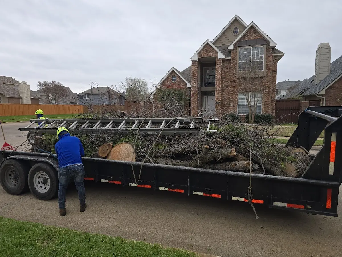 Expert Tree Pest Control with proper safety equipment in Carson